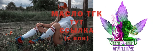 спиды Пересвет